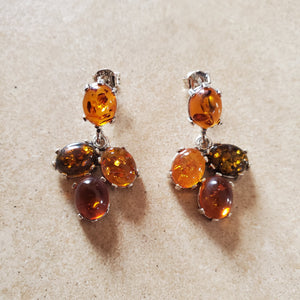 Small Multi Color Baltic Amber Earring